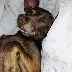 Meet your Posher, Cassandra